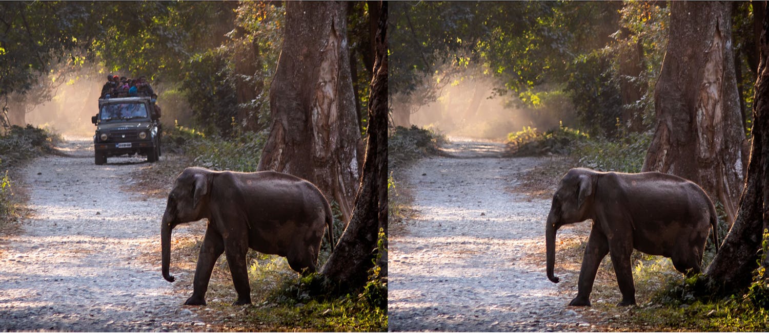 Fjern elementer i Lightroom Classic. Når bilen er væk, dannes en baggrund, der matcher landskabet.